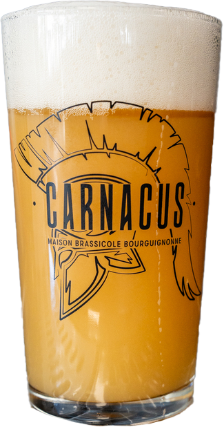 Verre de bière Carnacus